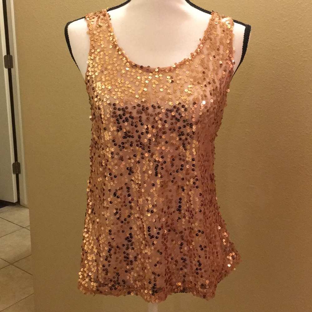 Fun sheer sparkly top